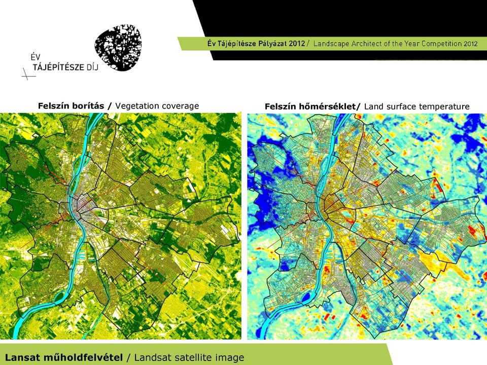 Landsat satellite image Felszín