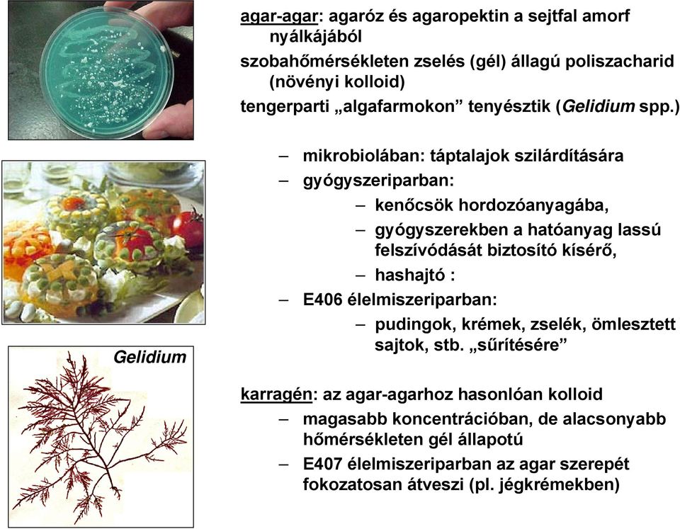 ) Gelidium mikrobiolában: táptalajok szilárdítására gyógyszeriparban: kenőcsök hordozóanyagába, gyógyszerekben a hatóanyag lassú felszívódását biztosító