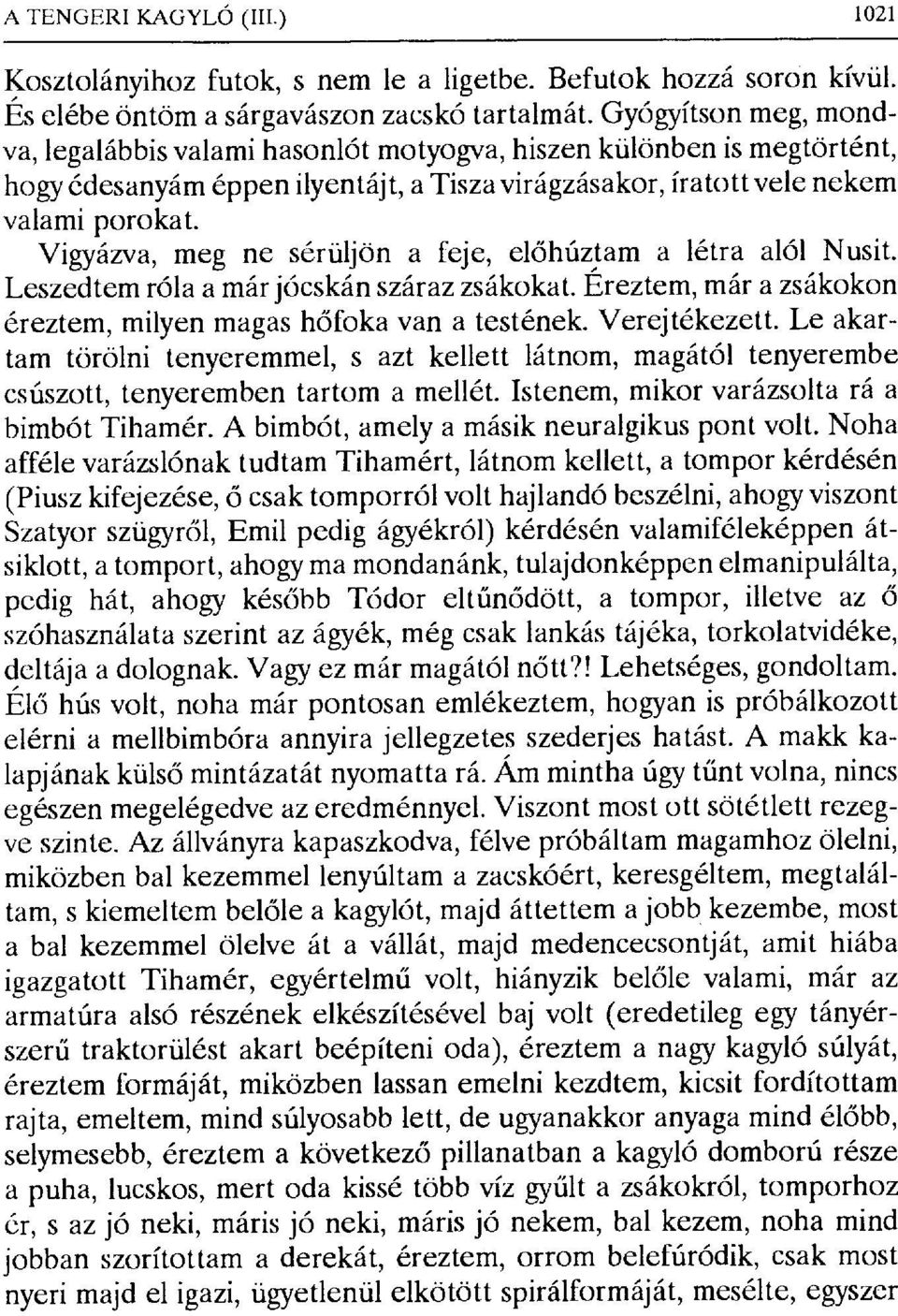 Vigyázva, meg ne sérüljön a feje, el őhúztam a létra alól Nusit. Leszedtem róla a már jócskán száraz zsákokat. Ereztem, mára zsákokon éreztem, milyen magas h őfoka van a testének. Verejtékezett.