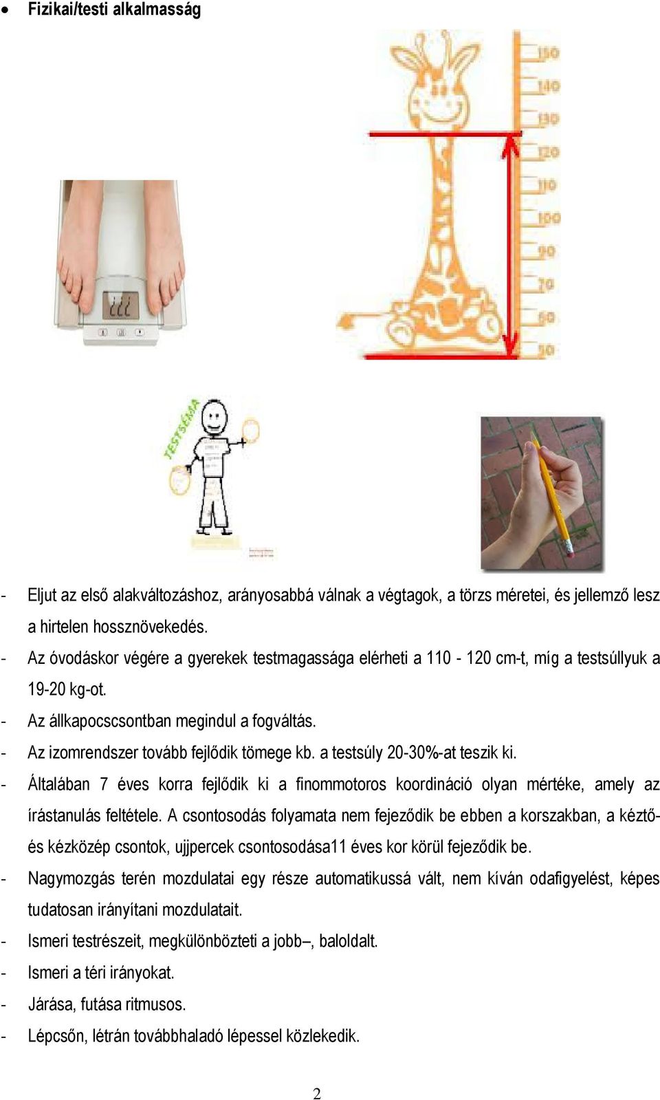 a testsúly 20-30%-at teszik ki. - Általában 7 éves korra fejlődik ki a finommotoros koordináció olyan mértéke, amely az írástanulás feltétele.