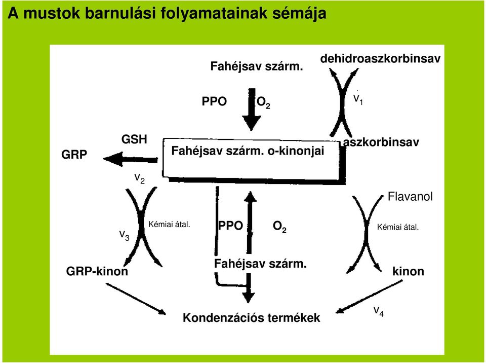 o-kinonjai aszkorbinsav v 2 Flavanol v 3 Kémiai átal.