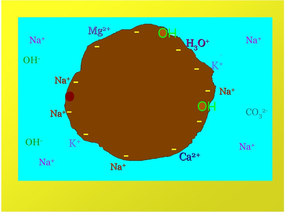 Na + CO 3 2- OH - Na