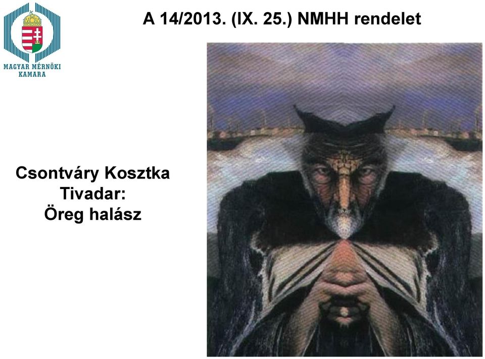 halász A 14/2013.