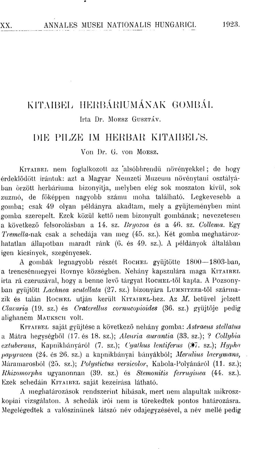 sok zuzmó, de főképpen nagyobb számú moha található. Legkevesebb a gomba; csak 49 olyan példányra akadtam, mely a gyűjteményben mint gomba szerepelt.