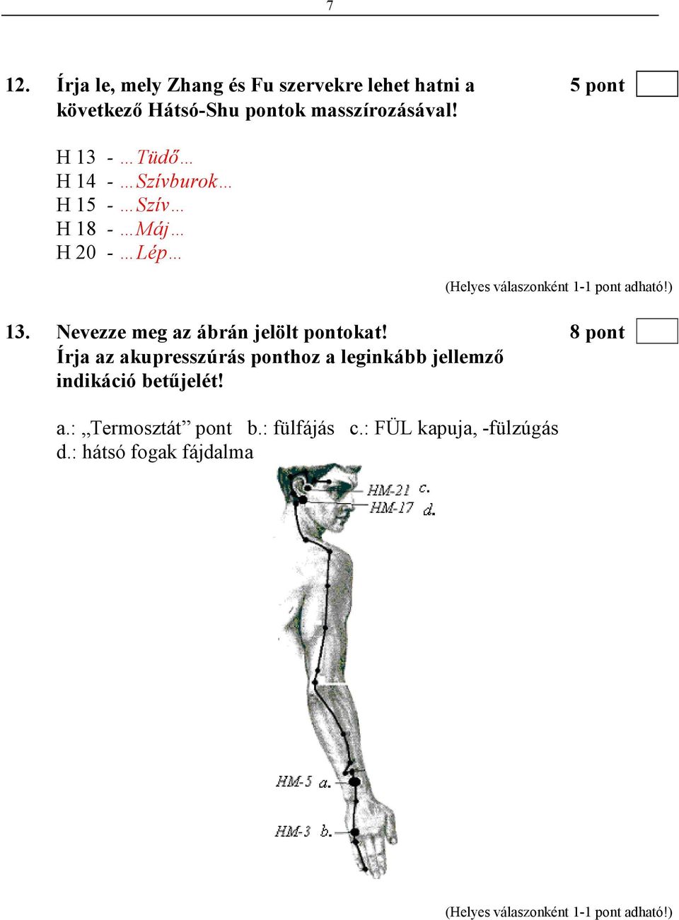 Nevezze meg az ábrán jelölt pontokat!