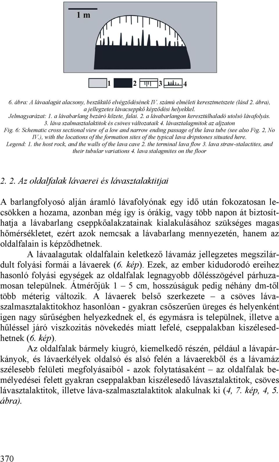 6: Schematic cross sectional view of a low and narrow ending passage of the lava tube (see also Fig. 2, No IV.), with the locations of the formation sites of the typical lava dripstones situated here.