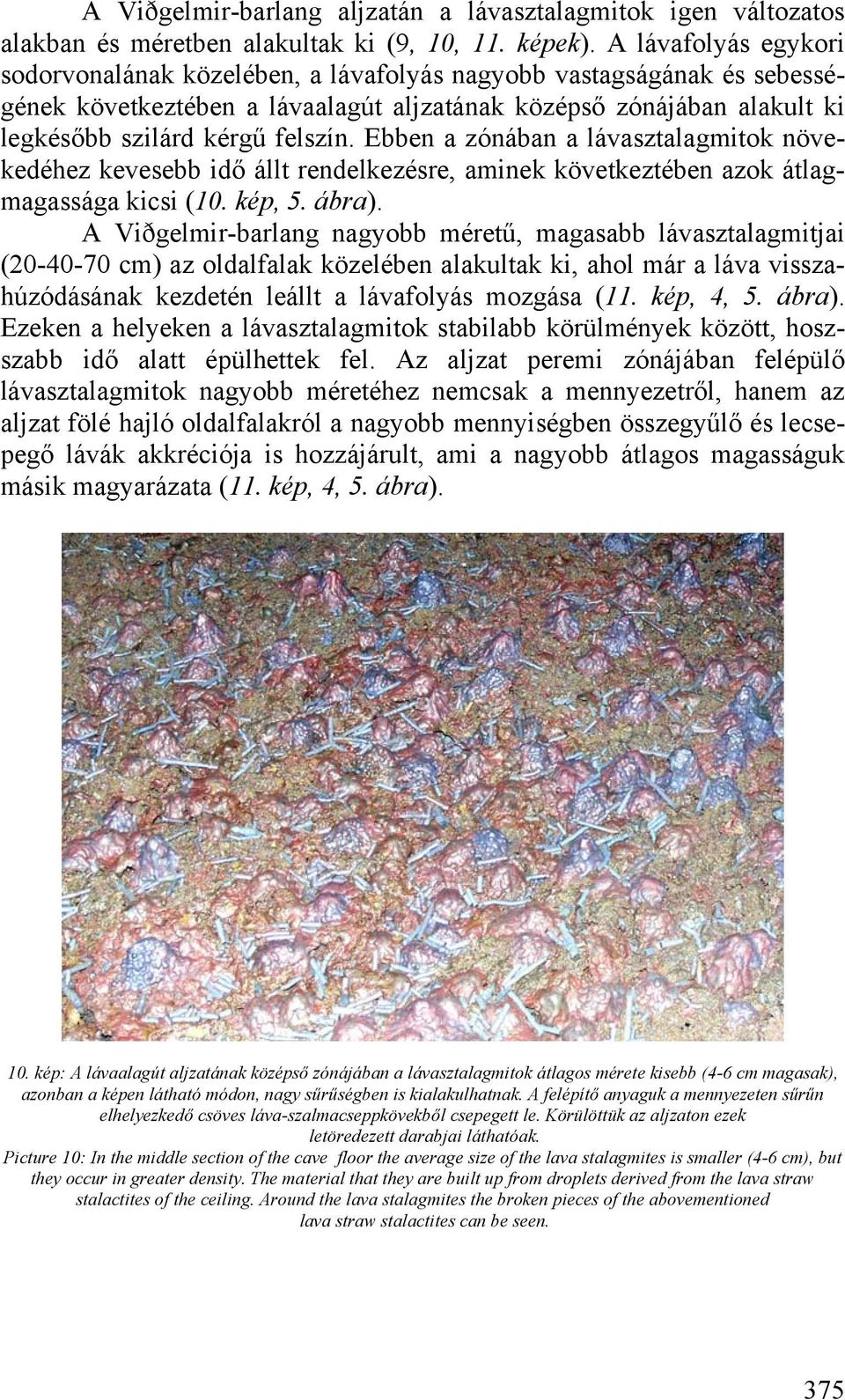 Ebben a zónában a lávasztalagmitok növekedéhez kevesebb idő állt rendelkezésre, aminek következtében azok átlagmagassága kicsi (10. kép, 5. ábra).