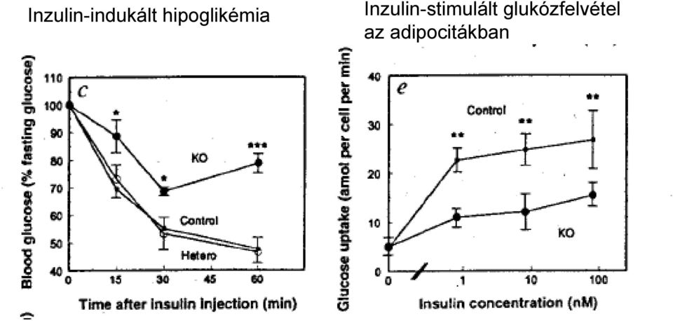 Inzulin-stimulált