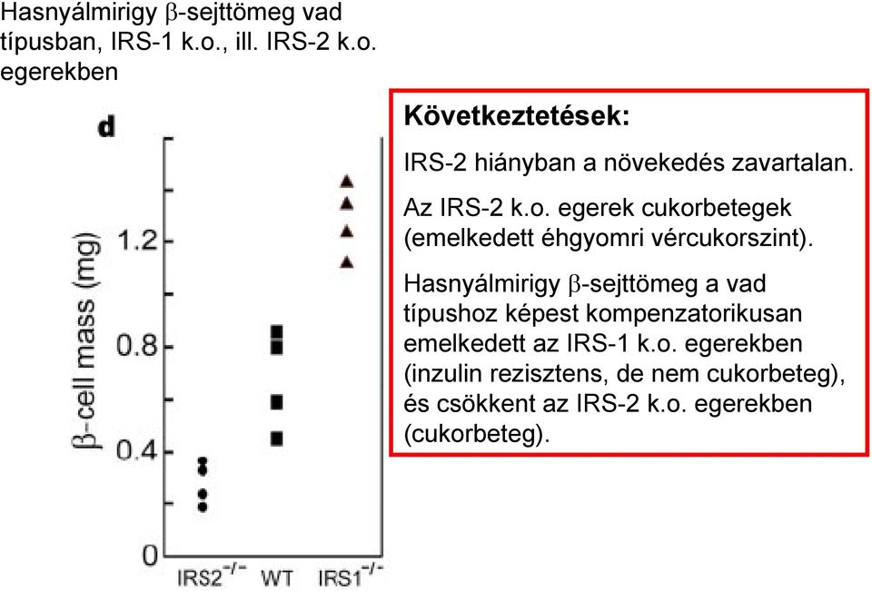 Hasnyálmirigy β-sejttömeg a vad típushoz