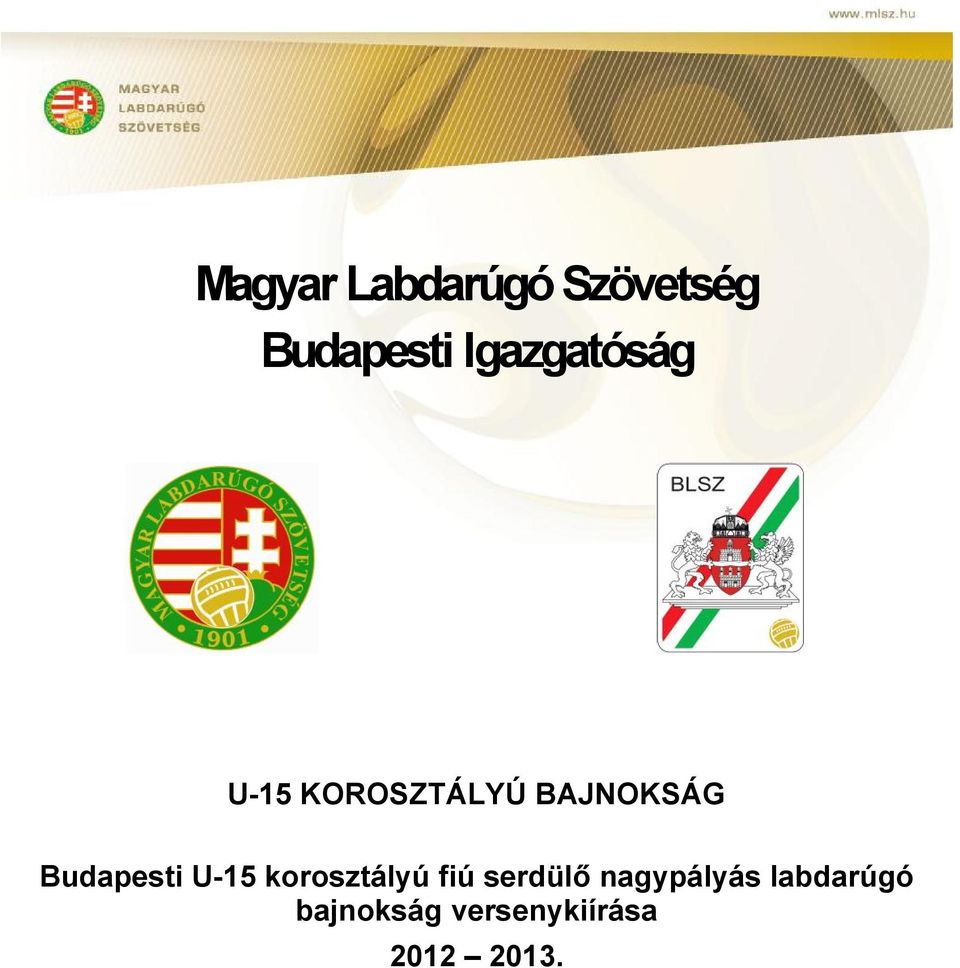 Budapesti U-15 korosztályú fiú serdülő