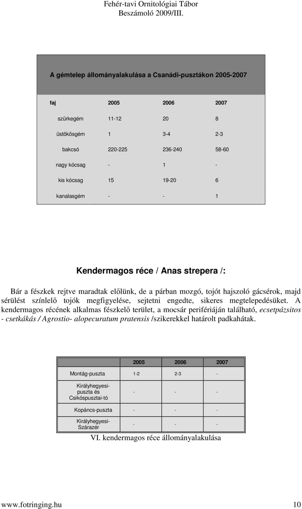 tojók megfigyele, sejtetni engedte, sikeres megtelepedüket.