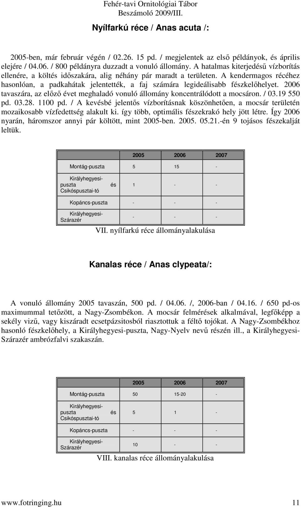 2006 tavaszára, az előző évet meghaladó vonuló állomány koncentrálódott a mocsáron. / 03.19 550 pd. 03.28. 1100 pd.