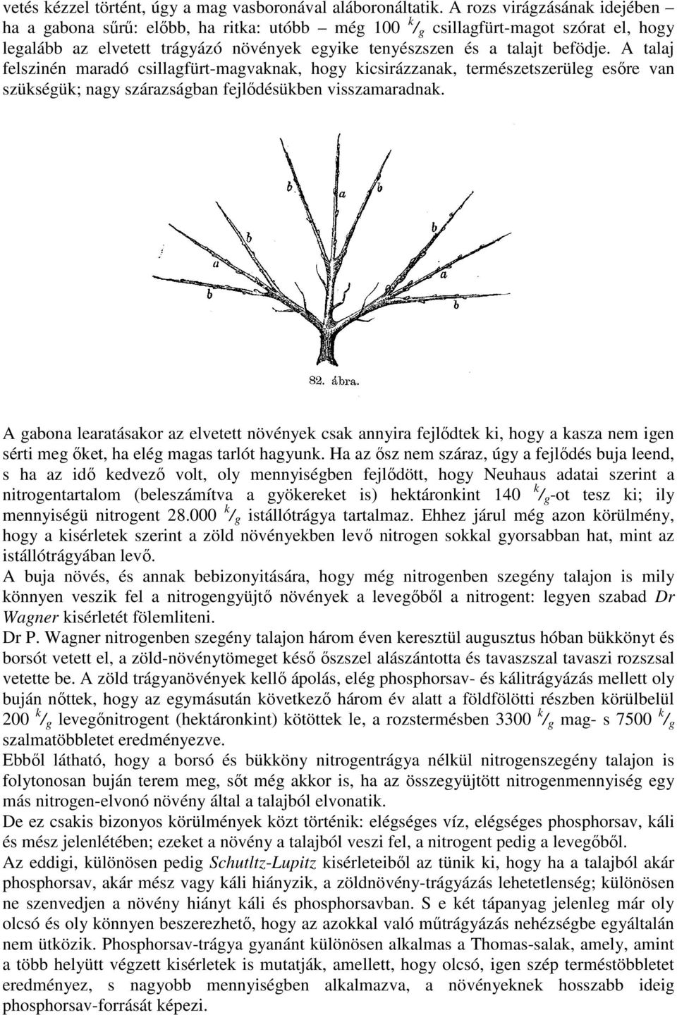 A talaj felszinén maradó csillagfürt-magvaknak, hogy kicsirázzanak, természetszerüleg esıre van szükségük; nagy szárazságban fejlıdésükben visszamaradnak.