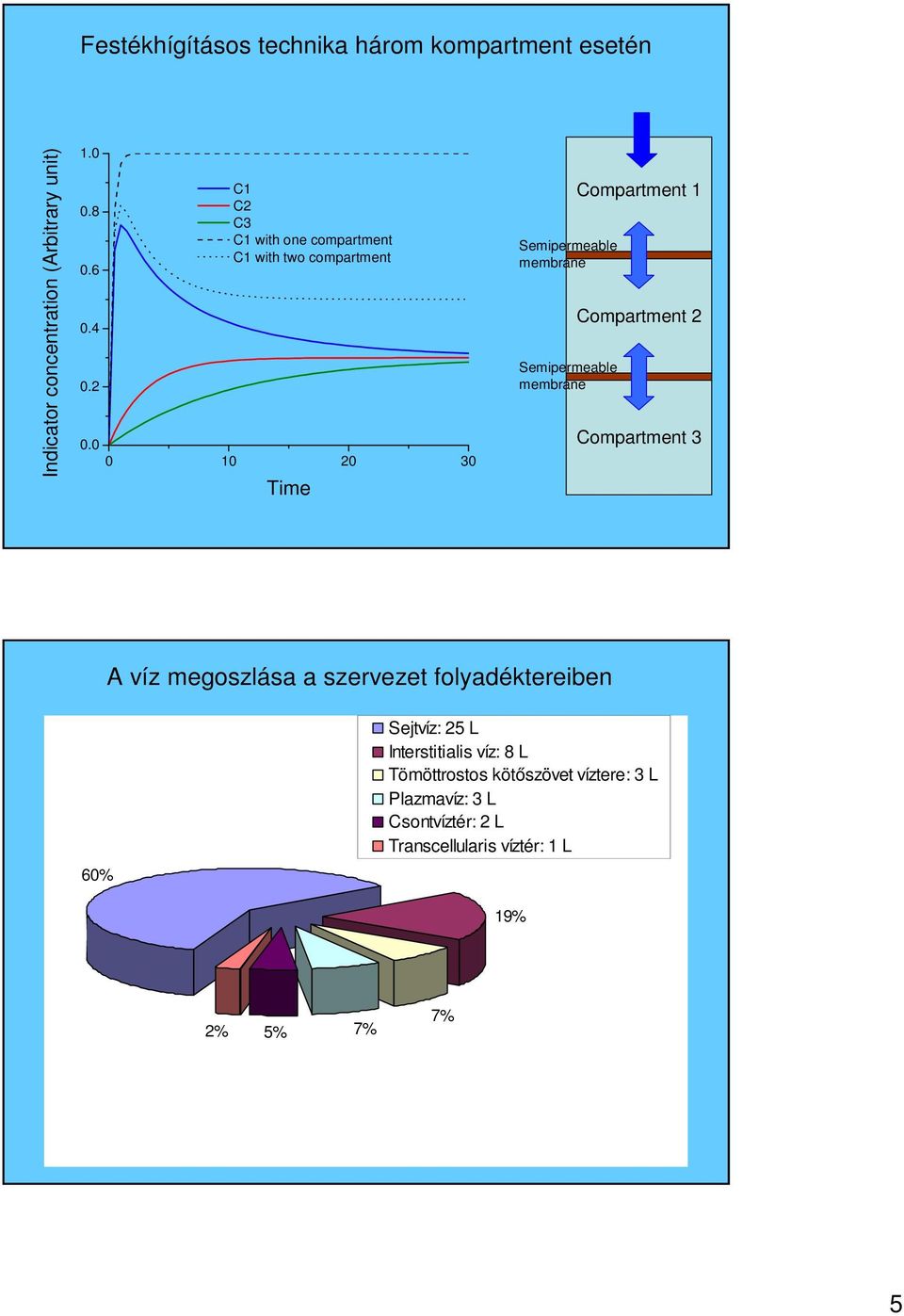 0 0 10 20 30 Time Semipermeable membrane Semipermeable membrane Compartment 1 Compartment 2 Compartment 3 A víz