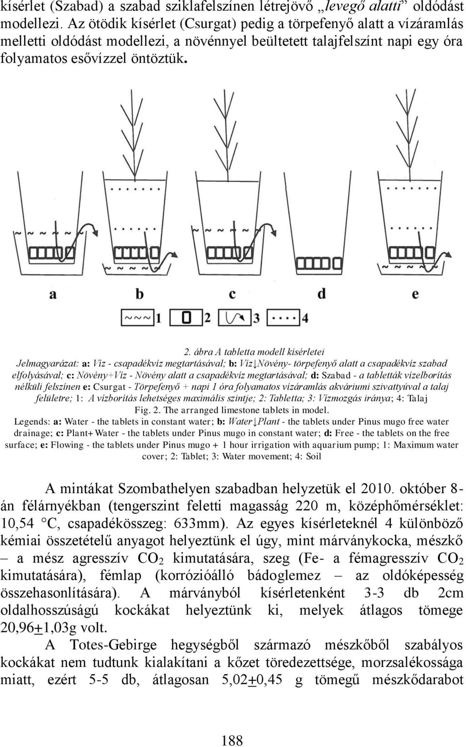 ábra A tabletta modell kísérletei Jelmagyarázat: a: Víz - csapadékvíz megtartásával; b: Víz Növény- törpefenyő alatt a csapadékvíz szabad elfolyásával; c: Növény+Víz - Növény alatt a csapadékvíz