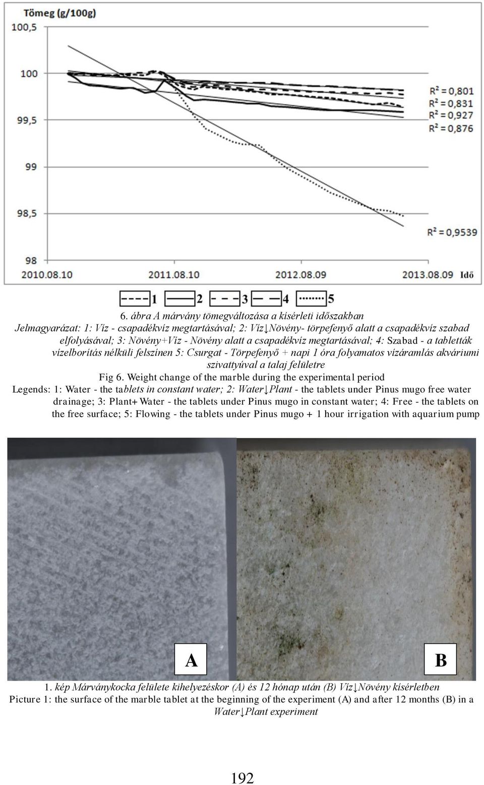 Weight change of the marble during the experimental period Legends: 1: Water - the tablets in constant water; 2: Water Plant - the tablets under Pinus mugo free water drainage; 3: Plant+Water - the