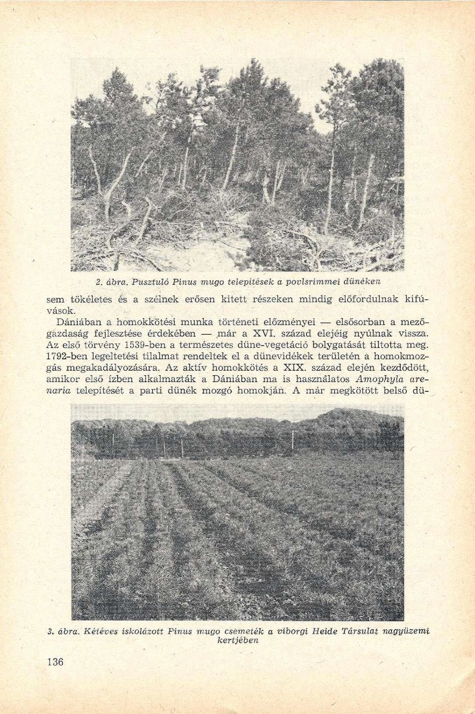 Az első törvény 1539-ben a természetes düne-vegetáció bolygatását tiltotta meg. 1792-ben legeltetési tilalmat rendeltek el a dünevidékek területén á homokmozgás megakadályozására.