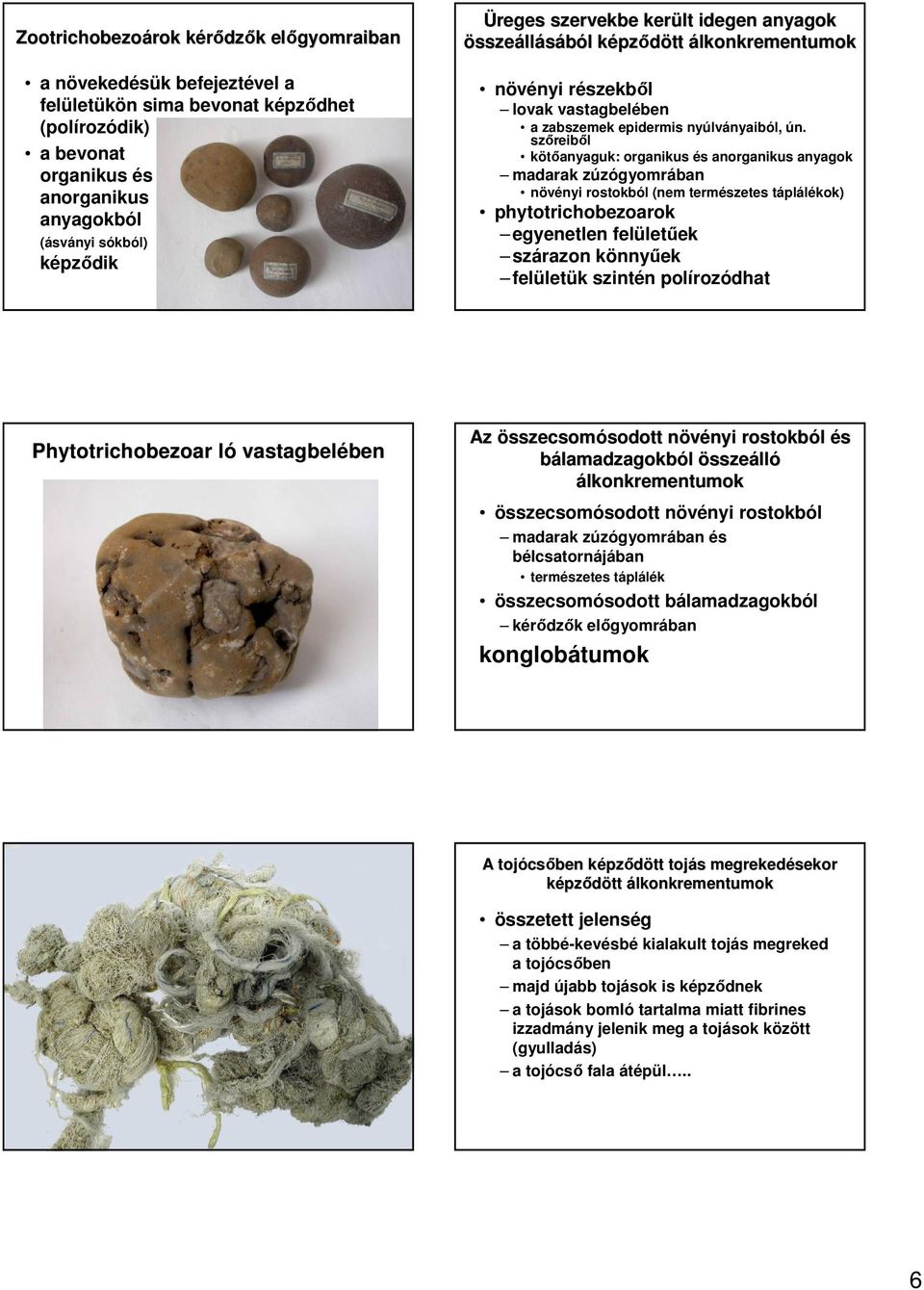 szıreibıl kötıanyaguk: organikus és anorganikus anyagok madarak zúzógyomrában növényi rostokból (nem természetes táplálékok) phytotrichobezoarok egyenetlen felületőek szárazon könnyőek felületük