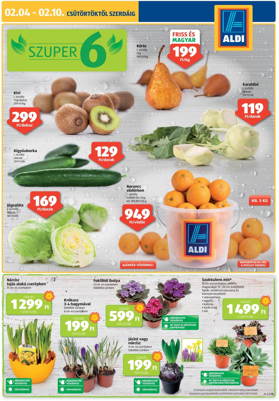 5 KG /vödör AJÁNDÉK VÖDÖRREL! Nárcisz tojás alakú cserépben 1 299 1 299 /db 12 cm-es cserépben, növény magassága: 15-20 cm, különböző fajták, rendkívül robusztus és könnyen kezelhető ±ozwgveazin`v!