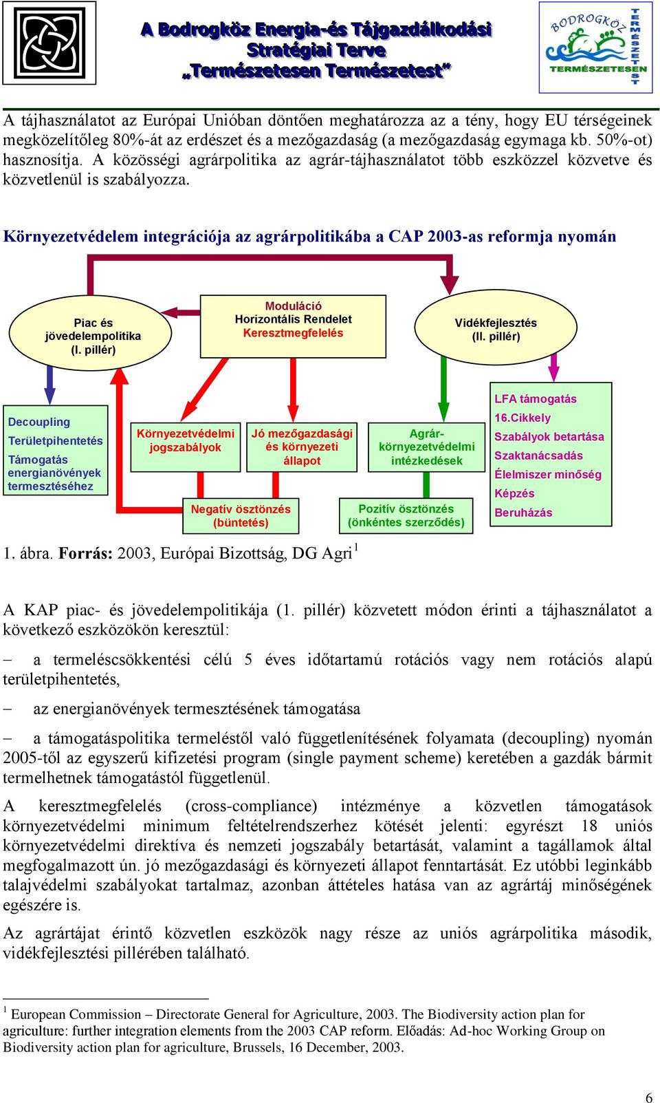 Környezetvédelem integrációja az agrárpolitikába a CAP 2003-as reformja nyomán Piac és jövedelempolitika (I. pillér) Moduláció Horizontális Rendelet Keresztmegfelelés Vidékfejlesztés (II.