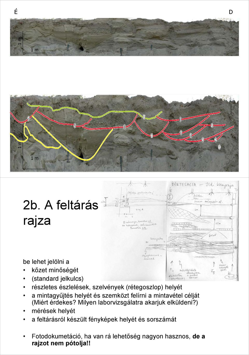 (rétegoszlop) helyét a mintagyűjtés helyét és szemközt felírni a mintavétel célját (Miért érdekes?