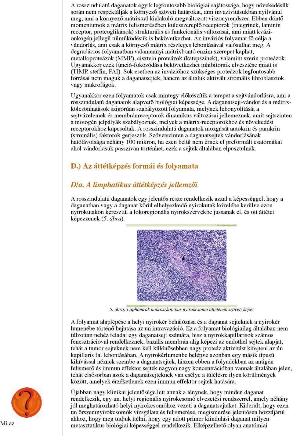 Ebben döntő momentumok a mátrix felismerésében kulcsszereplő receptorok (integrinek, laminin receptor, proteoglikánok) strukturális és funkcionális változásai, ami miatt kvázionkogén jellegű