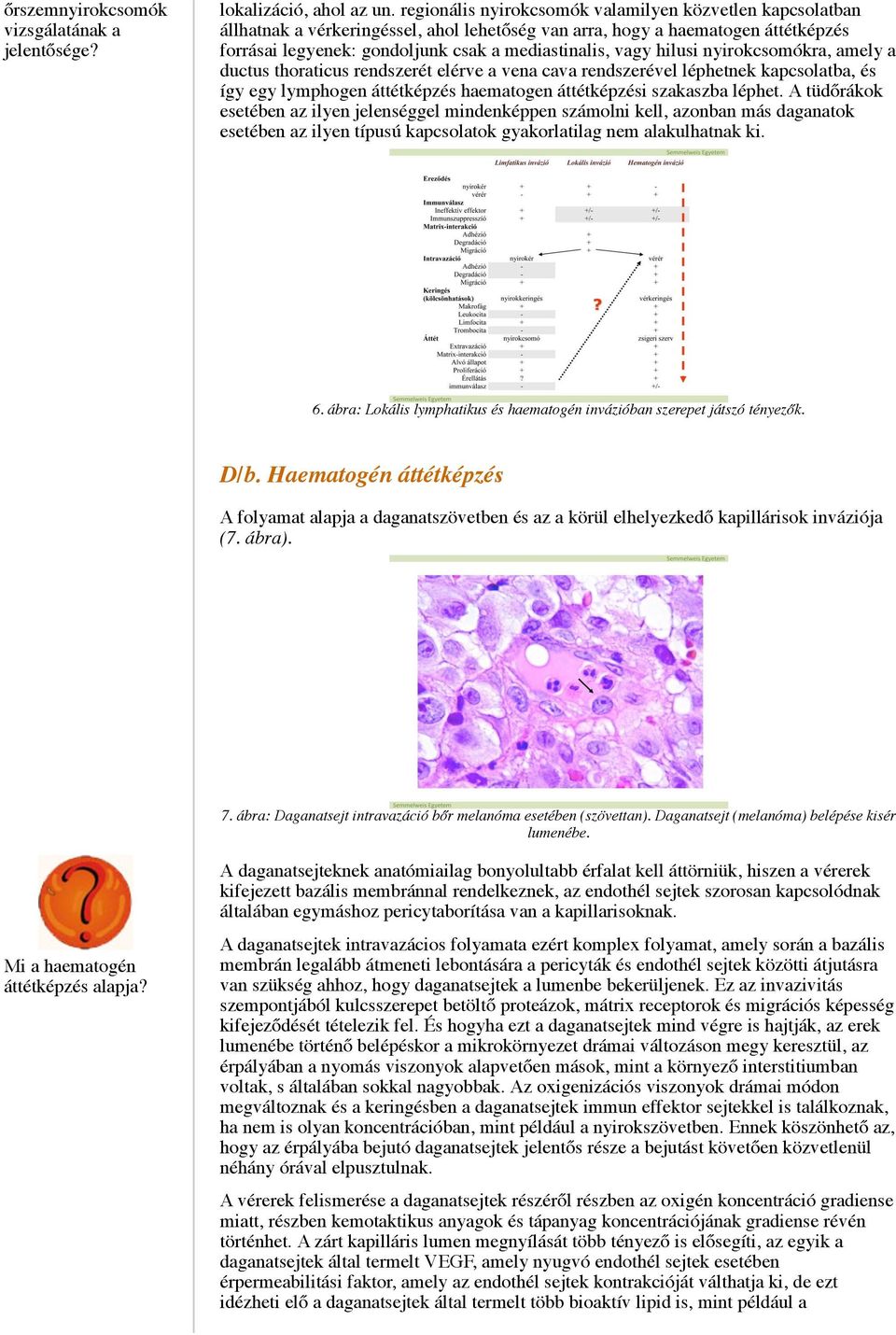 hilusi nyirokcsomókra, amely a ductus thoraticus rendszerét elérve a vena cava rendszerével léphetnek kapcsolatba, és így egy lymphogen áttétképzés haematogen áttétképzési szakaszba léphet.