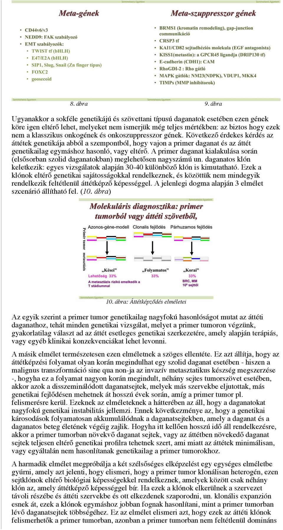 onkogének és onkoszuppresszor gének. Következő érdekes kérdés az áttétek genetikája abból a szempontból, hogy vajon a primer daganat és az áttét genetikailag egymáshoz hasonló, vagy eltérő.