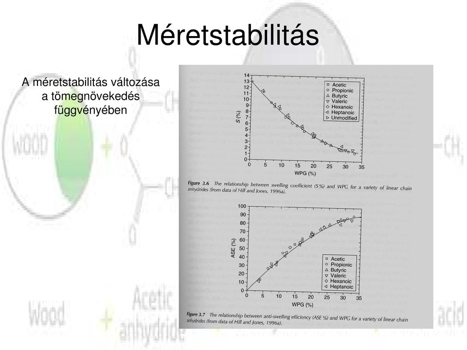 tömegnövekedés