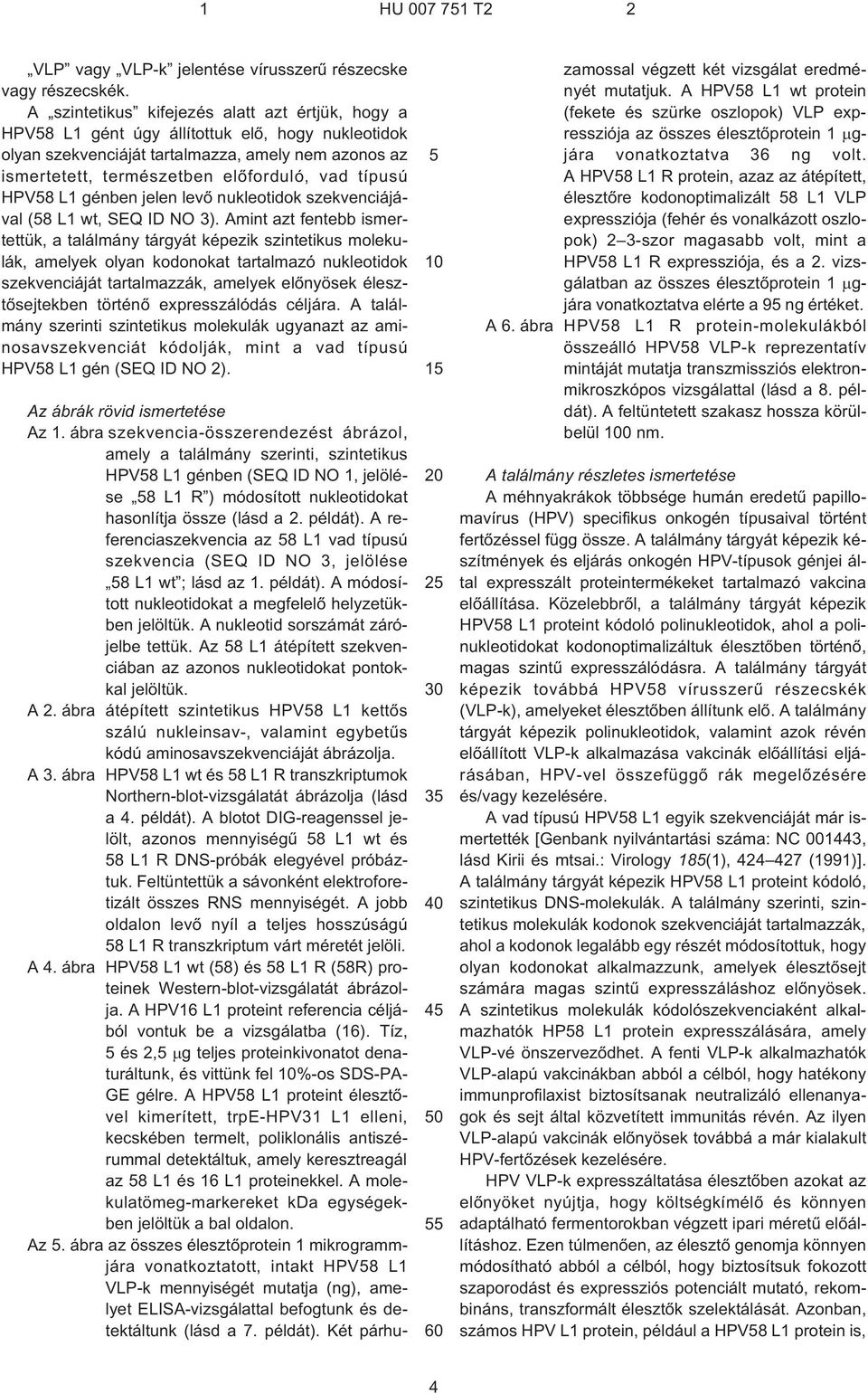 típusú HPV58 L1 génben jelen levõ nukleotidok szekvenciájával (58 L1 wt, SEQ ID NO 3).