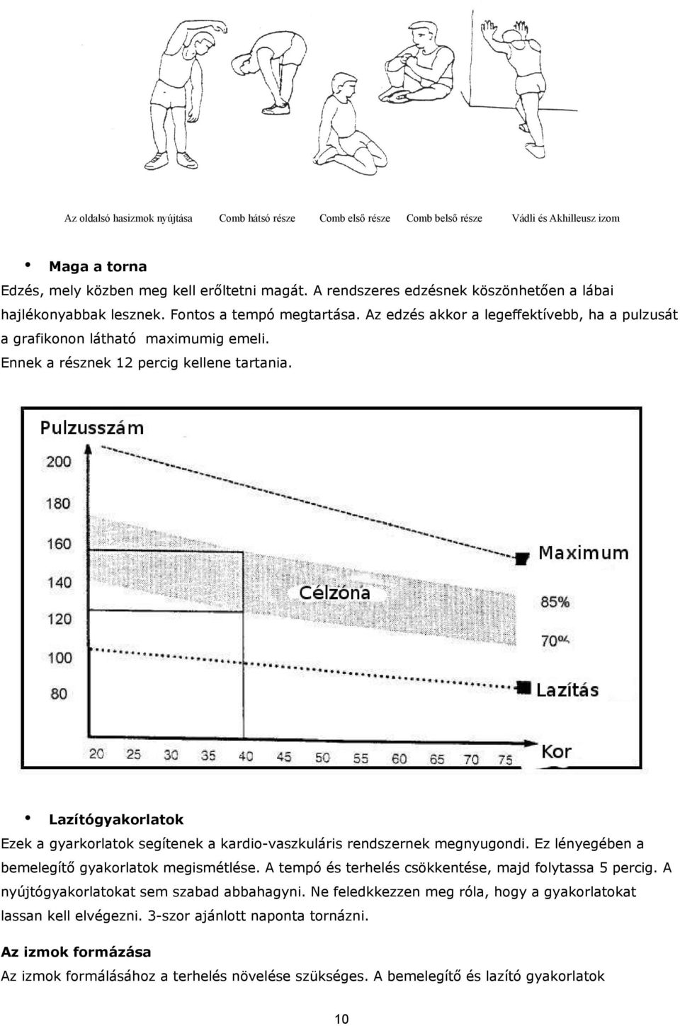 Ennek a résznek 12 percig kellene tartania. Lazítógyakorlatok Ezek a gyarkorlatok segítenek a kardio-vaszkuláris rendszernek megnyugondi. Ez lényegében a bemelegítő gyakorlatok megismétlése.