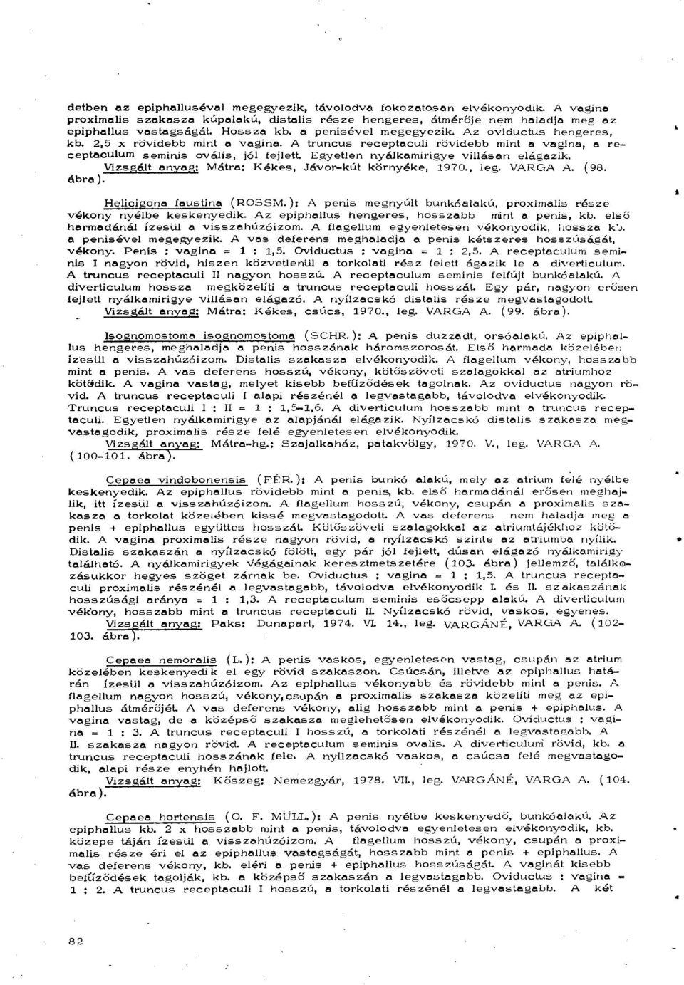 Egyetlen nyálkamirigye villásan elágazik. Vizsgált anyag: Mátra: Kékes, Jávor-kút környéke, 1970., leg. VARGA A. (98. ábra). Helicigona faustina (ROSSM.