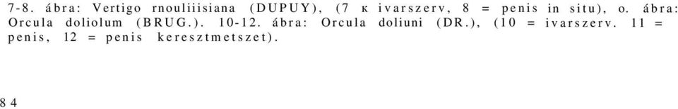 ábra: Orcula doliuni (DR.