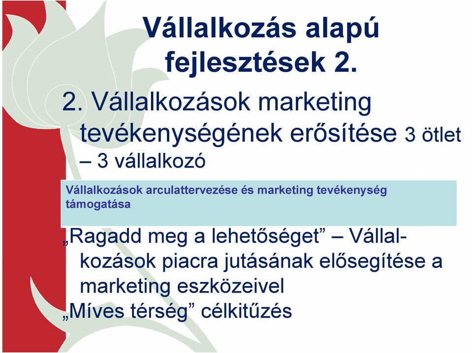 vállalkozó Vállalkozások arculattervezése és marketing tevékenység