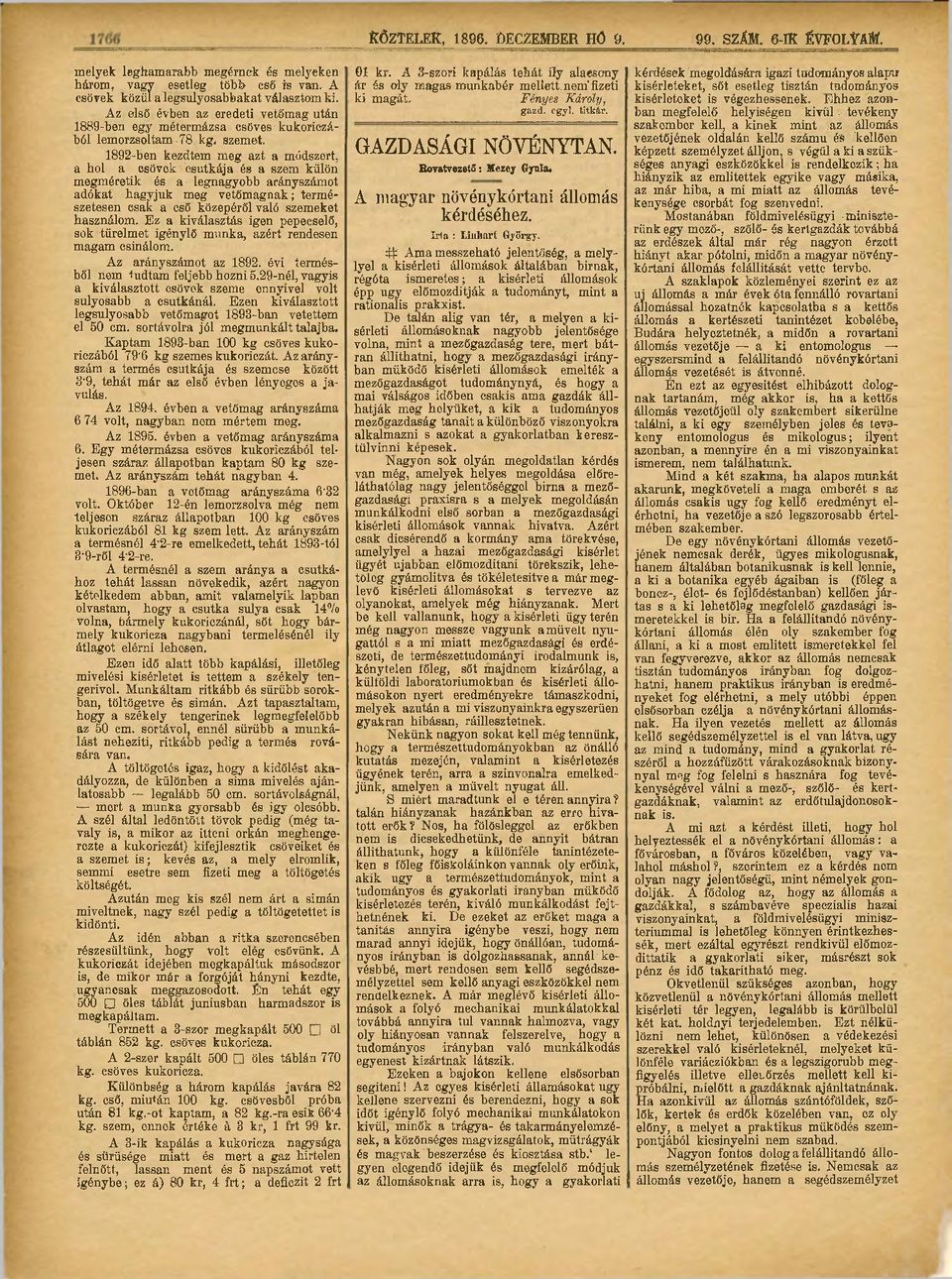 1892-ben kezdtem meg azt a módszert, a hol a csövek csutkája és a szem külön megméretik és a legnagyobb arányszámot adókat hagyjuk meg vetőmagnak; természetesen csak a cső közepéről való szemeket