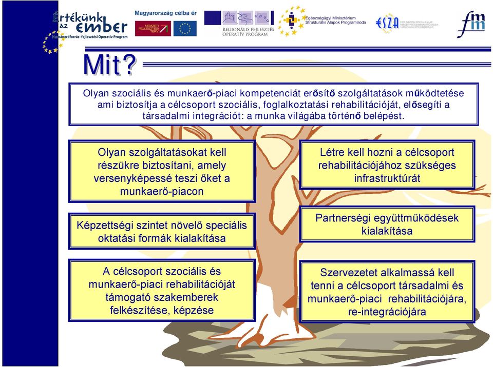 Olyan szolgáltatásokat kell részükre biztosítani, amely versenyképessé teszi őket a munkaerő-piacon Képzettségi szintet növelőspeciális oktatási formák kialakítása A célcsoport