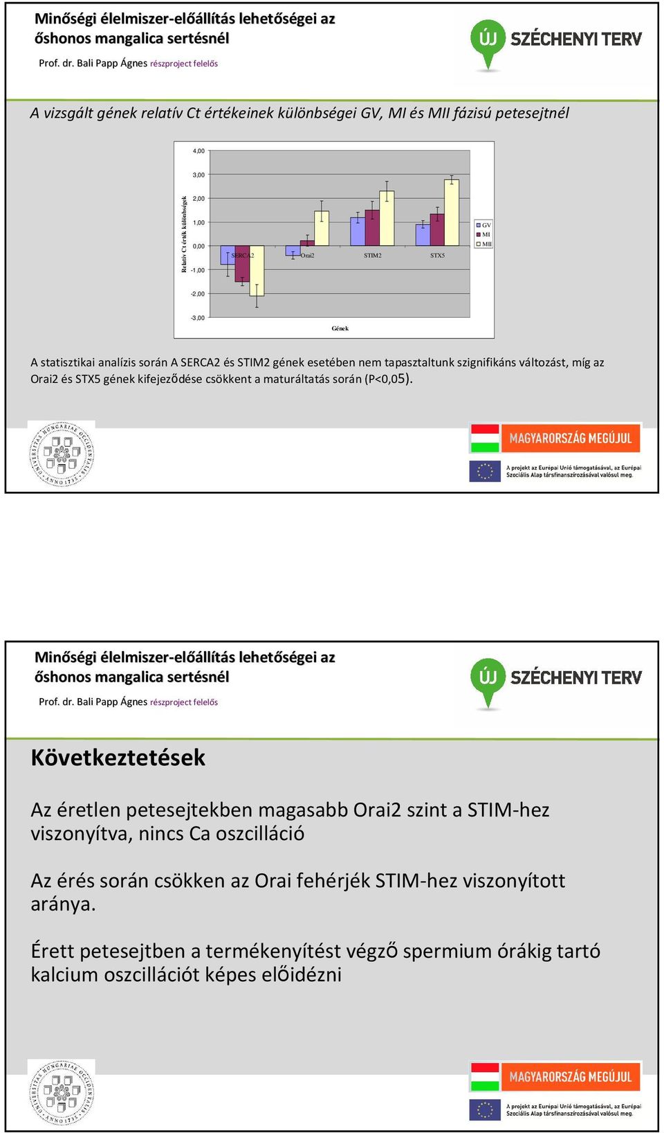 kifejeződése csökkent a maturáltatás során (P<0,05).