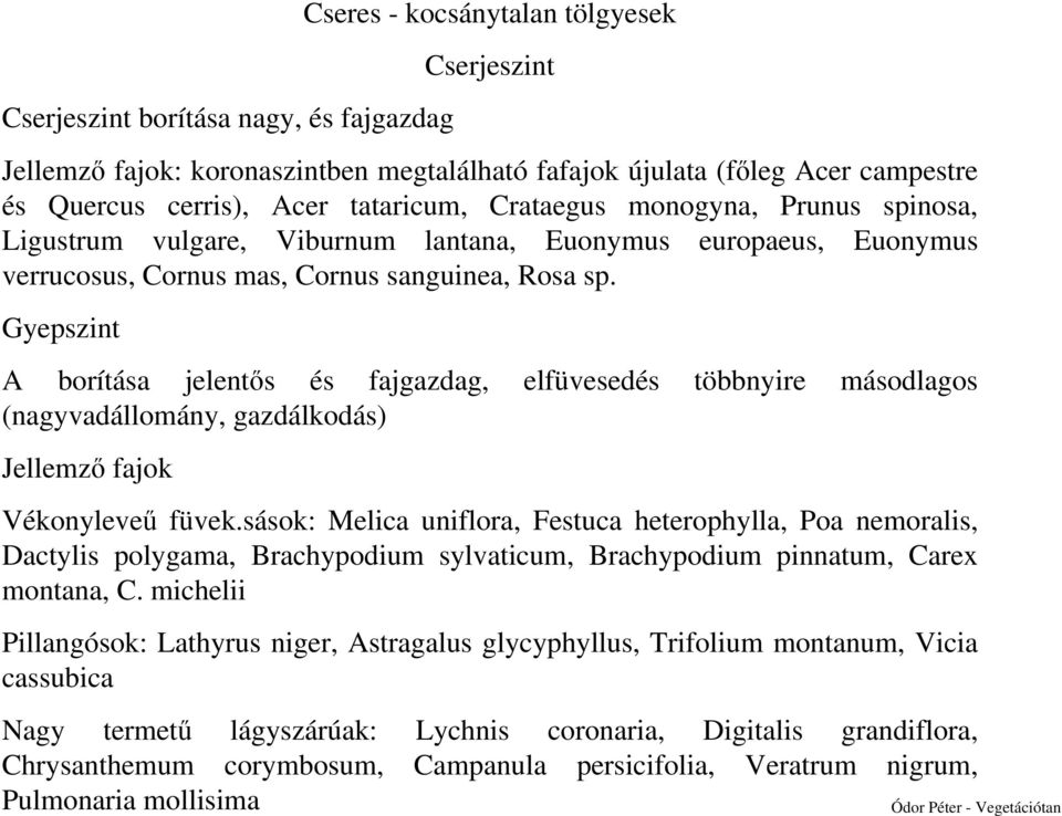 Gyepszint A borítása jelentős és fajgazdag, elfüvesedés többnyire másodlagos (nagyvadállomány, gazdálkodás) Jellemző fajok Vékonyleveű füvek.