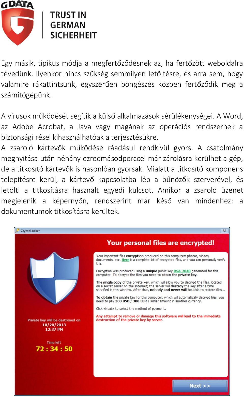 A vírusok működését segítik a külső alkalmazások sérülékenységei. A Word, az Adobe Acrobat, a Java vagy magának az operációs rendszernek a biztonsági rései kihasználhatóak a terjesztésükre.