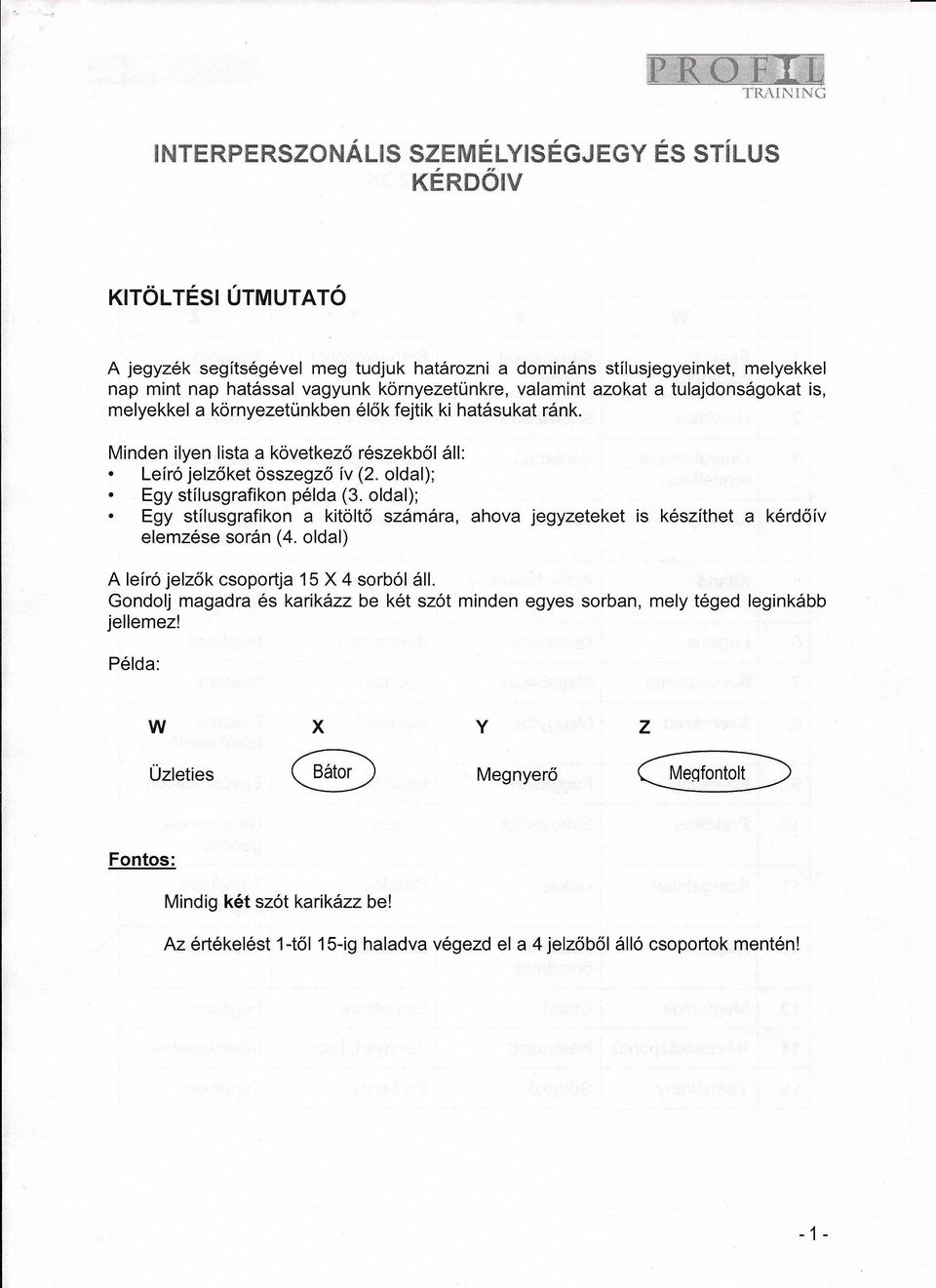 oldal); Egy stílusgrafikon példa (3. oldal); Egy stílusgrafikon a kitöltő számára, ahova jegyzeteket is készíthet a kérdőív elemzése során (4. oldal) A leíró jelzők csoportja 15 X 4 sorból áll.