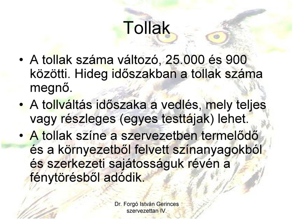 A tollváltás időszaka a vedlés, mely teljes vagy részleges (egyes testtájak)