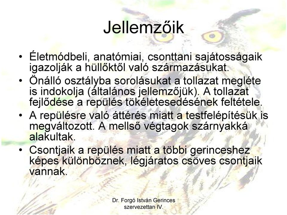 A tollazat fejlődése a repülés tökéletesedésének feltétele.