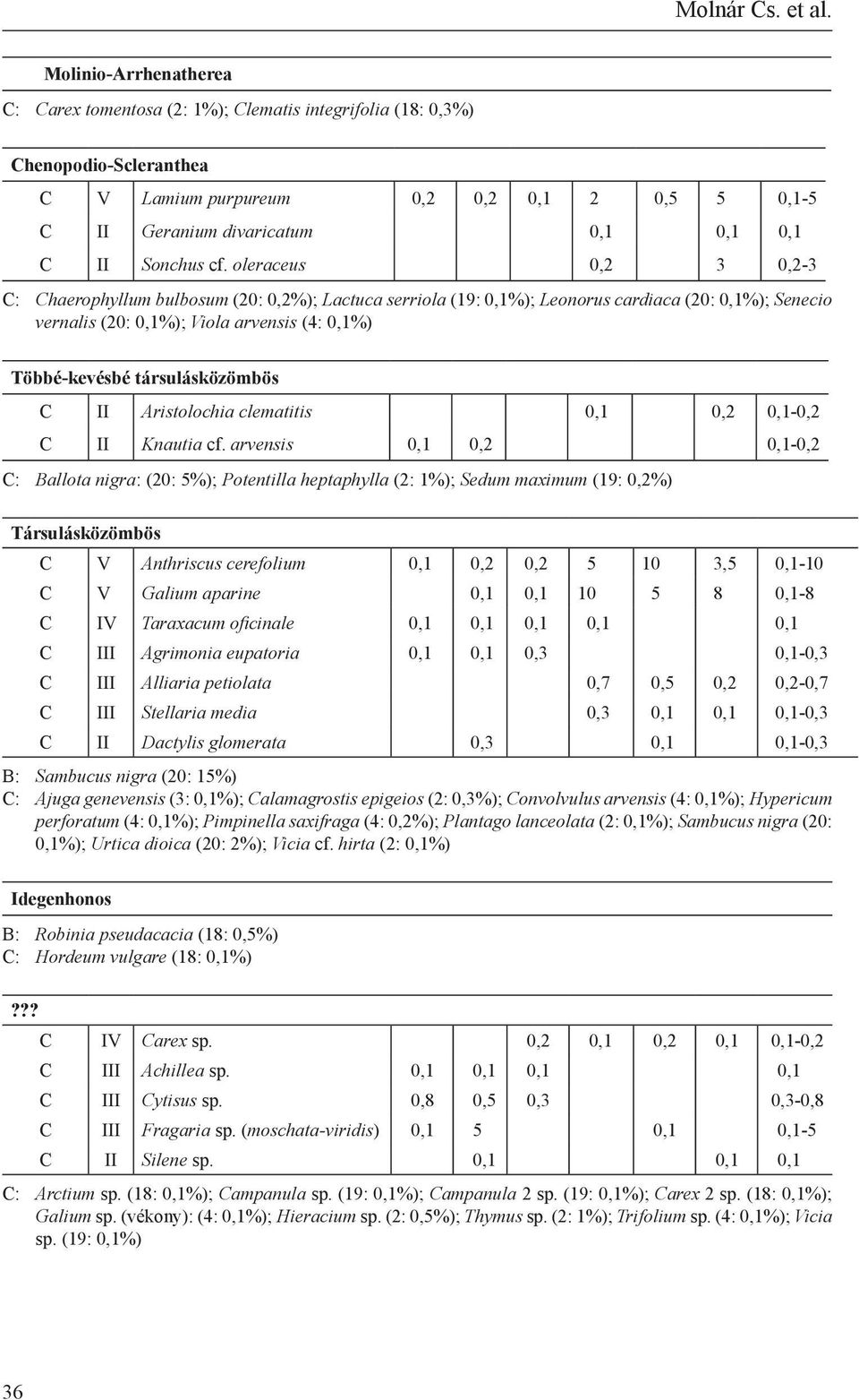 Sonchus cf.