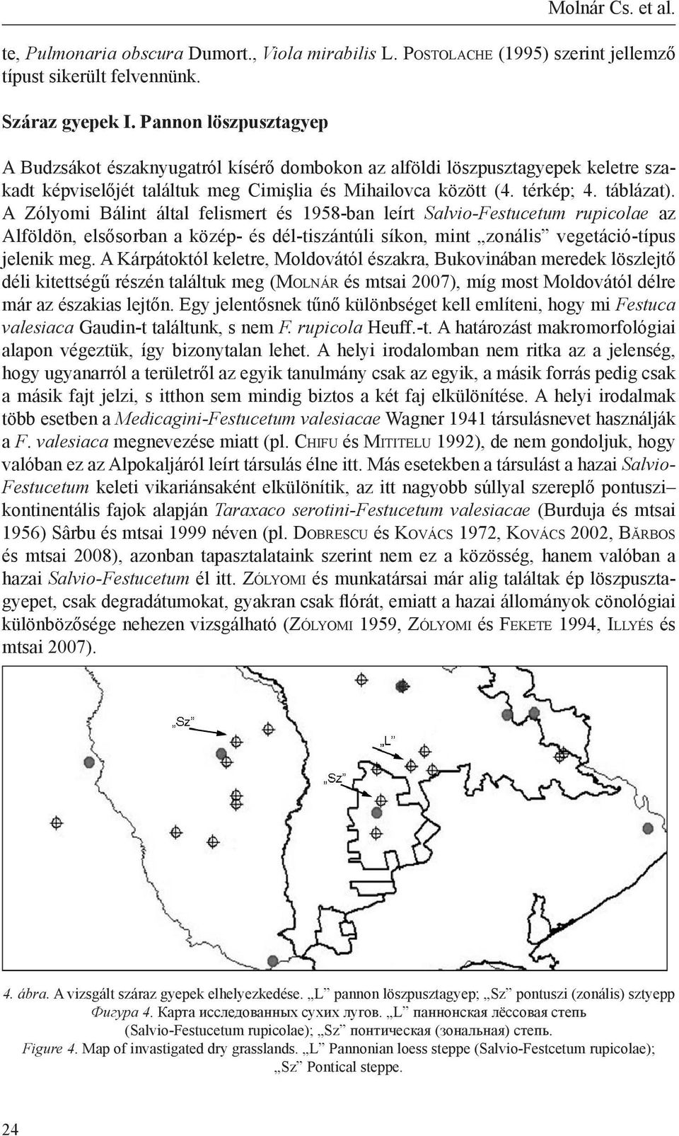 A Zólyomi Bálint által felismert és 1958-ban leírt Salvio-Festucetum rupicolae az Alföldön, elsősorban a közép- és dél-tiszántúli síkon, mint zonális vegetáció-típus jelenik meg.