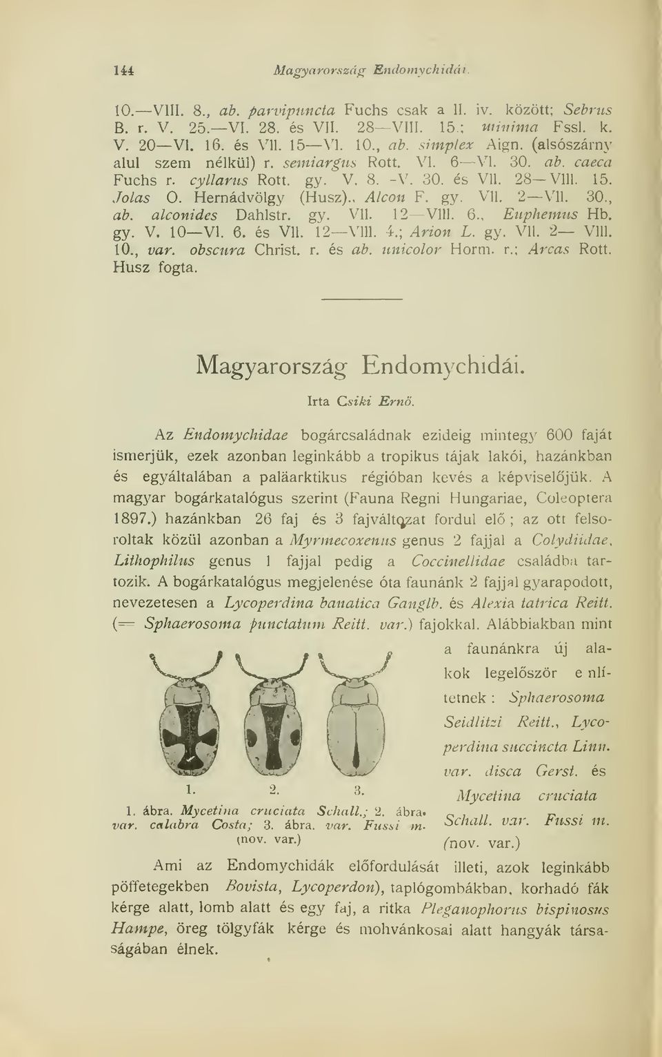 alconides Dahlstr. gy. Vll. 12 VIII. 6., Eiiphemus Hb. gy. V. 10 VI. 6. és Vll. 12 VIII. 4.; Árion L. gy. Vll. 2 Vili. ic, var. obscura Christ. r. és ab. iinicolor Horm. r.; Arcas Rótt. Húsz fogta.