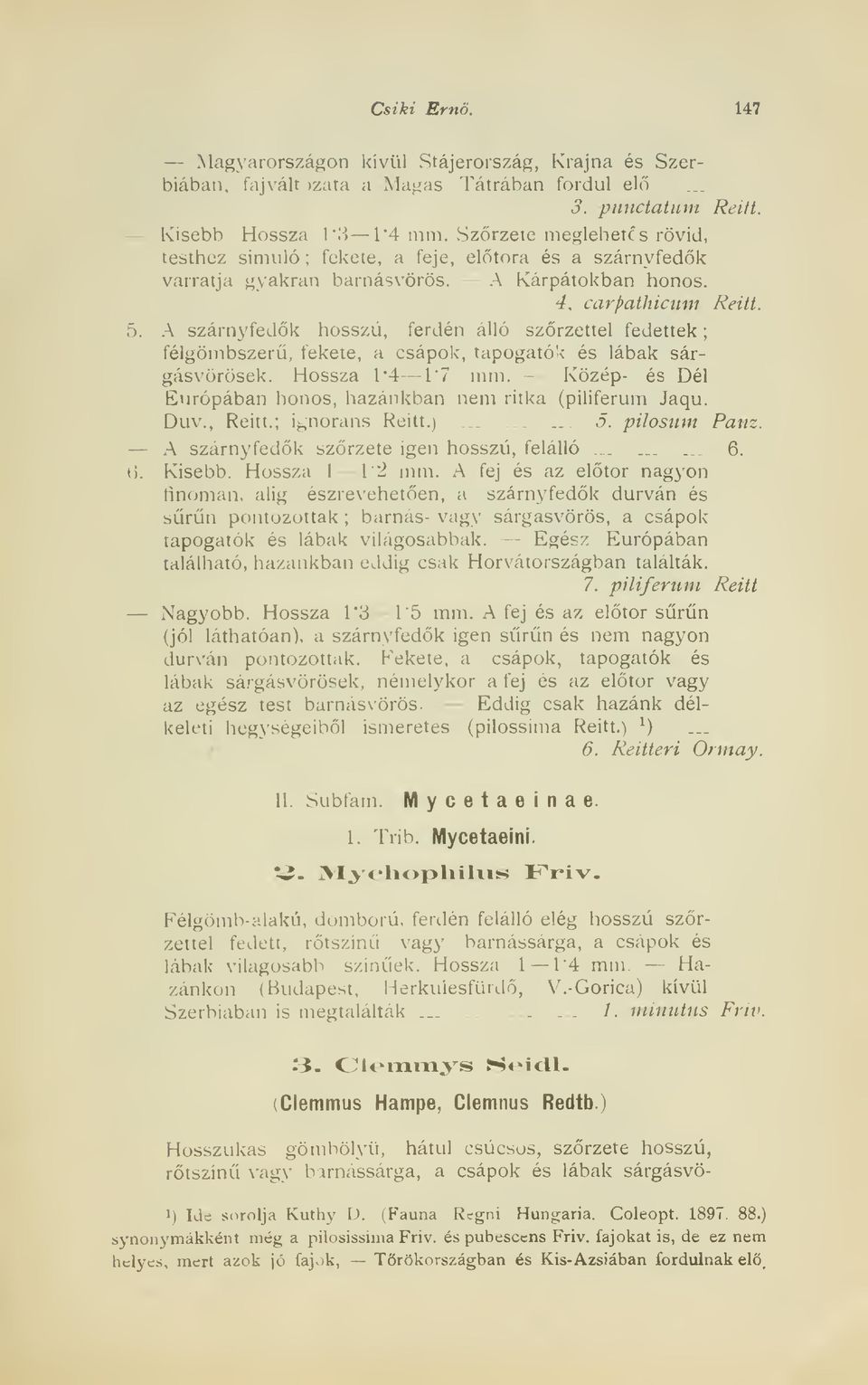 A szárnyfedk hosszú, ferdén álló szrzettel fedettek félgömbszer, fekete, a csápok, tapogatók és lábak sárgásvörösek. Hossza 1*4 17 mm.