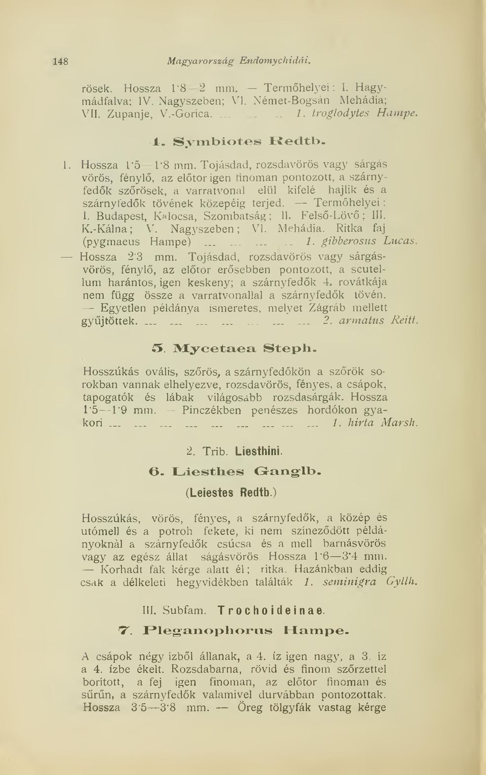 Budapest, Kalocsa, Szombatság; II. Fels-Löv; III. K.-Kálna ; V. Nagyszeben ; VI. Mehádia. Ritka faj (pygmaeus Hampe)...._.....-. 1. gihberosns Lucas. Hossza 23 mm.