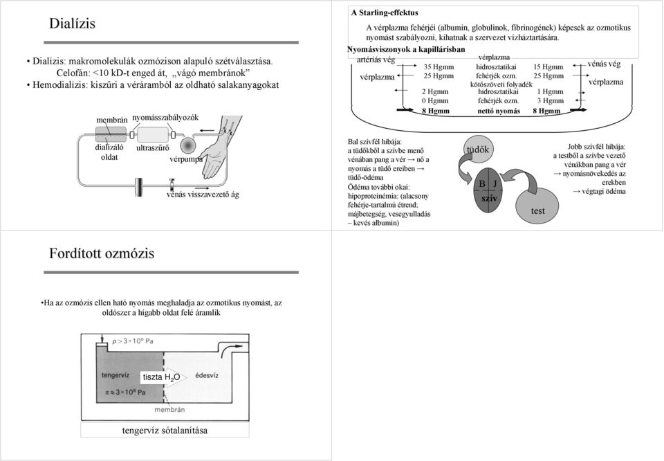 kapillárisban artériás vég vérplazma 35 Hgmm hidrosztatikai 15 Hgmm vénás vég vérplazma 5 Hgmm fehérjék ozm 5 Hgmm kötőszöveti folyadék Hgmm hidrosztatikai 1 Hgmm vérplazma Hgmm fehérjék ozm 3 Hgmm 8