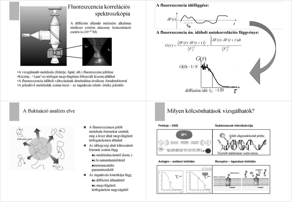 relatív értéke jelentős A fluoreszenia időfüggése: δf(t) G( τ ) = τ D A fluoreszenia ún időbeli autokorreláiós függvénye: δf ( t) δf ( t + τ ) F G () ~1/ N G(τ) diffúziós idő = T τ D δf ( t) δf ( t +