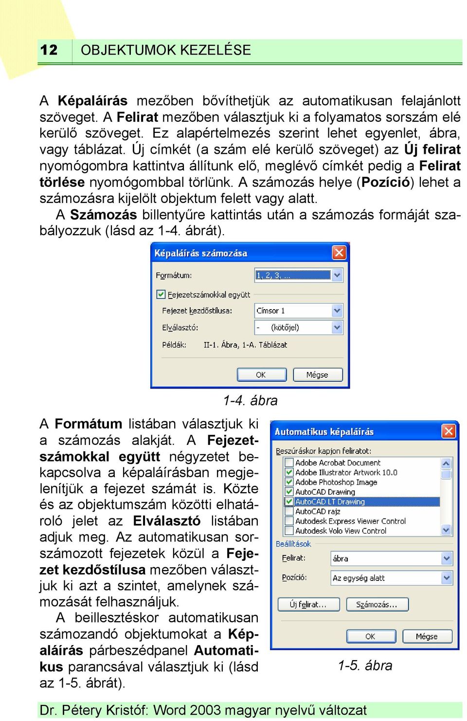 Új címkét (a szám elé kerülő szöveget) az Új felirat nyomógombra kattintva állítunk elő, meglévő címkét pedig a Felirat törlése nyomógombbal törlünk.